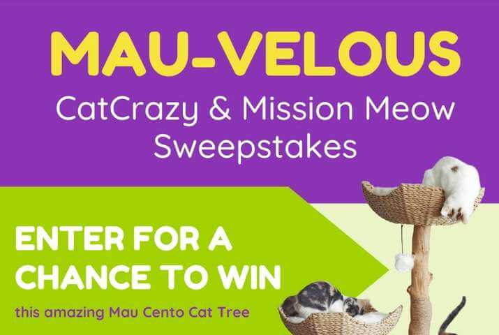 MAU-velous CatCrazy & Mission Meow Sweepstakes